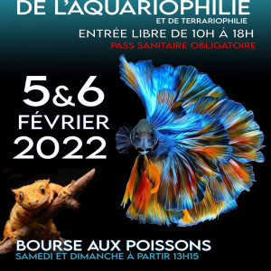 18éme salon de l'aquariophilie et terrariophile d'Antibes (06)