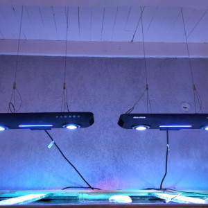 2 rampes Aquamedic Angel led 200