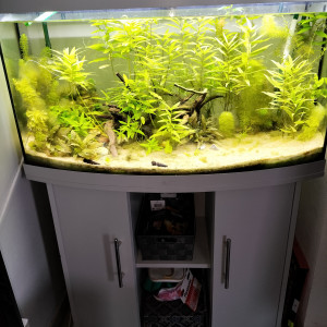 AQUARIUM juwel vision 180