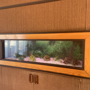 Aquarium d’occasion / 170 litres