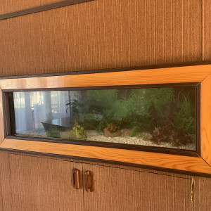 Aquarium d’occasion / 170 litres