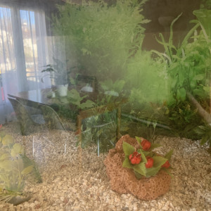 Aquarium d’occasion / 170 litres