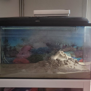 Vend  aquarium +pompe+plantes