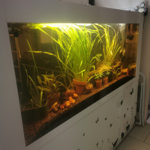 Vend aquarium complet
