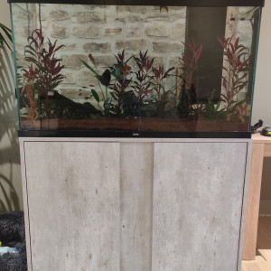 Aquarium 206l + meuble