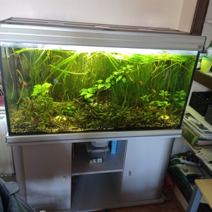 Aquarium aquatlantis 400 litres avec tous le matériel,plantes et poissons