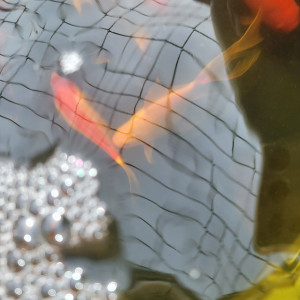 J'arrête mon bassin d'eau froide