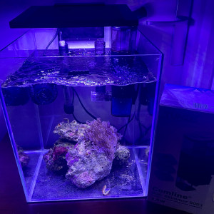 Aquarium Nano recifal complet