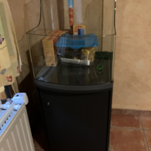 Aquarium 60l + meuble, éclairage, pompe