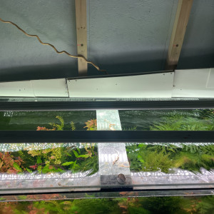 300l aquascaping