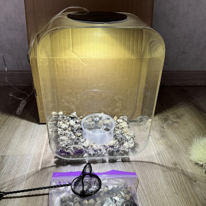 Aquarium 15L BIORB complet avec décors et produits