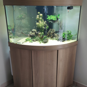 Aquarium juwel trygon 190 + decorum + quelques vivants