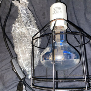 Lampe avec ampoule chauffante 2 en 1 (UV-A et UV-B)