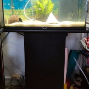 Aquarium ''Aquatlantis'' 60 litres avec filtration, chauffage et meuble en bois noir