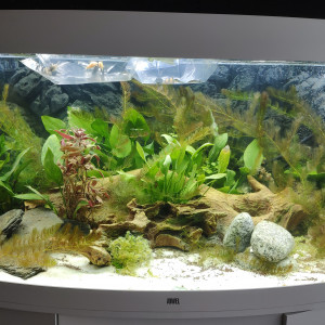 Aquarium complet juwel vision 450 L