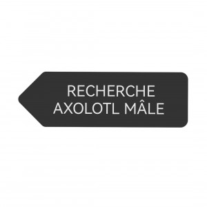 Recherche axolotl mâle