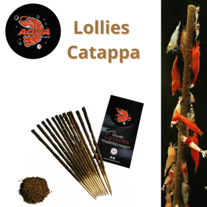 Lollies catappa aquashrimp