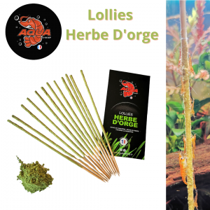 Lollies herbe d'orge bio aquashrimp