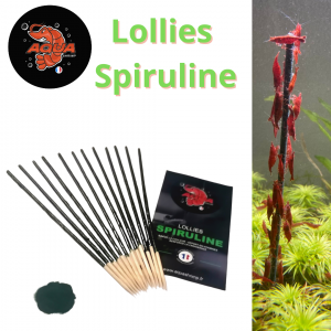 Lollies spiruline bio aquashrimp