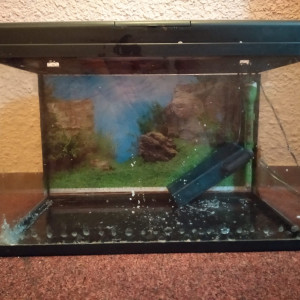 Aquarium 50l