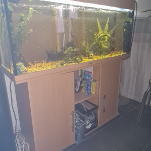 Aquarium jewel 220 litres