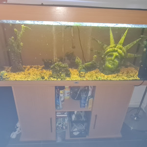 Aquarium jewel 220 litres