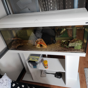 Aquarium Aquadream 100 + meuble + 3  axolotl