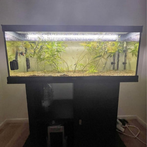 Aquarium aquatlantis led 100 noir avec son meuble noir