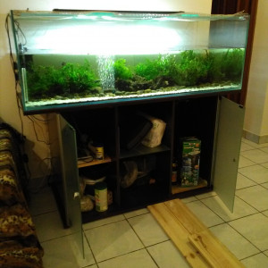 Aquarium 390 litres sur meuble, en très bon état