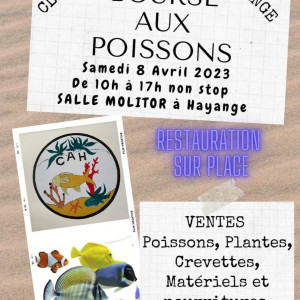 Bourse aux poissons