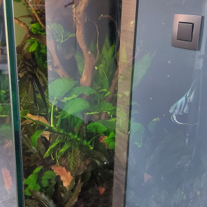 Aquarium 350L + meuble + matériel