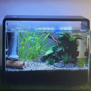 flintronic Filtre Intérieur Aquarium, 4W 300L/H Filtre Interne