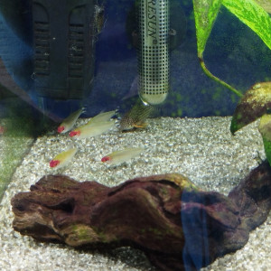 Donne contre bons soins