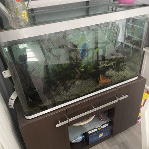 Aquarium Osaka 260L