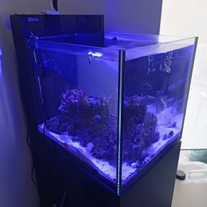 aquarium MAX NANO 100L eau de mer/récif avec son contenu