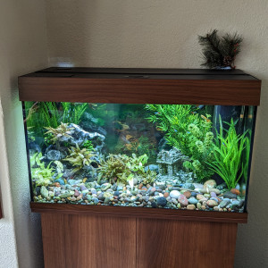 Aquarium+ meuble Juwel Rio 125