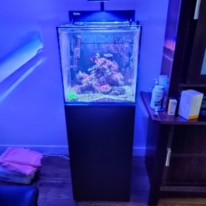 Aquarium eau de mer complet