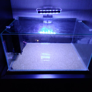Aquarium Zolux 23 litres équipé