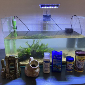 Vends aquarium et accessoires divers