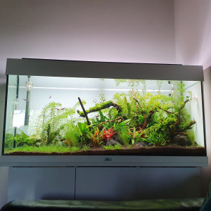 Aquarium JUWEL 180 L