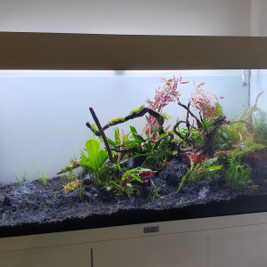 Aquarium JUWEL 180 L