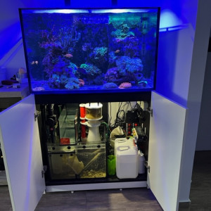 AQUARIUM RECIFAL REDSEA