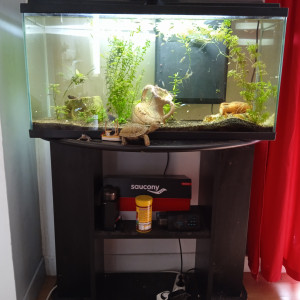 Aquarium complet