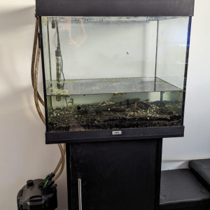 Aquarium Juwel Lido 120 + pompe externe+ meuble+ éclairage+ chauffage