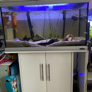 Aquarium 200l complet avec meuble