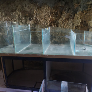 Cuve animalerie 720l