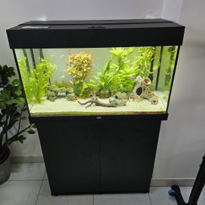 Vend Aquarium Juwel rio 125 + meuble + filtre jbl cristaprofi e902