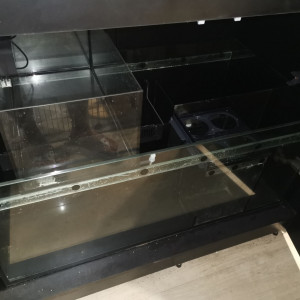 Aquarium Red sea peninsula reefer 650