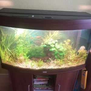 Aquarium 180litre