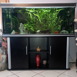 Aquarium avec meuble complet